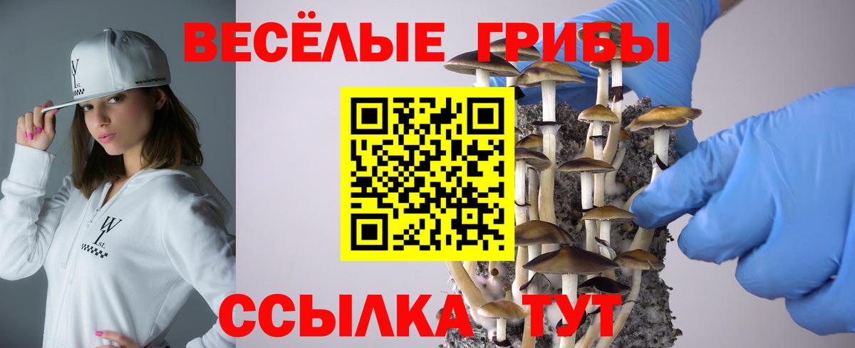 Гулькевичи  Псилоцибиновые грибы ЛСД  Вход с VPN 